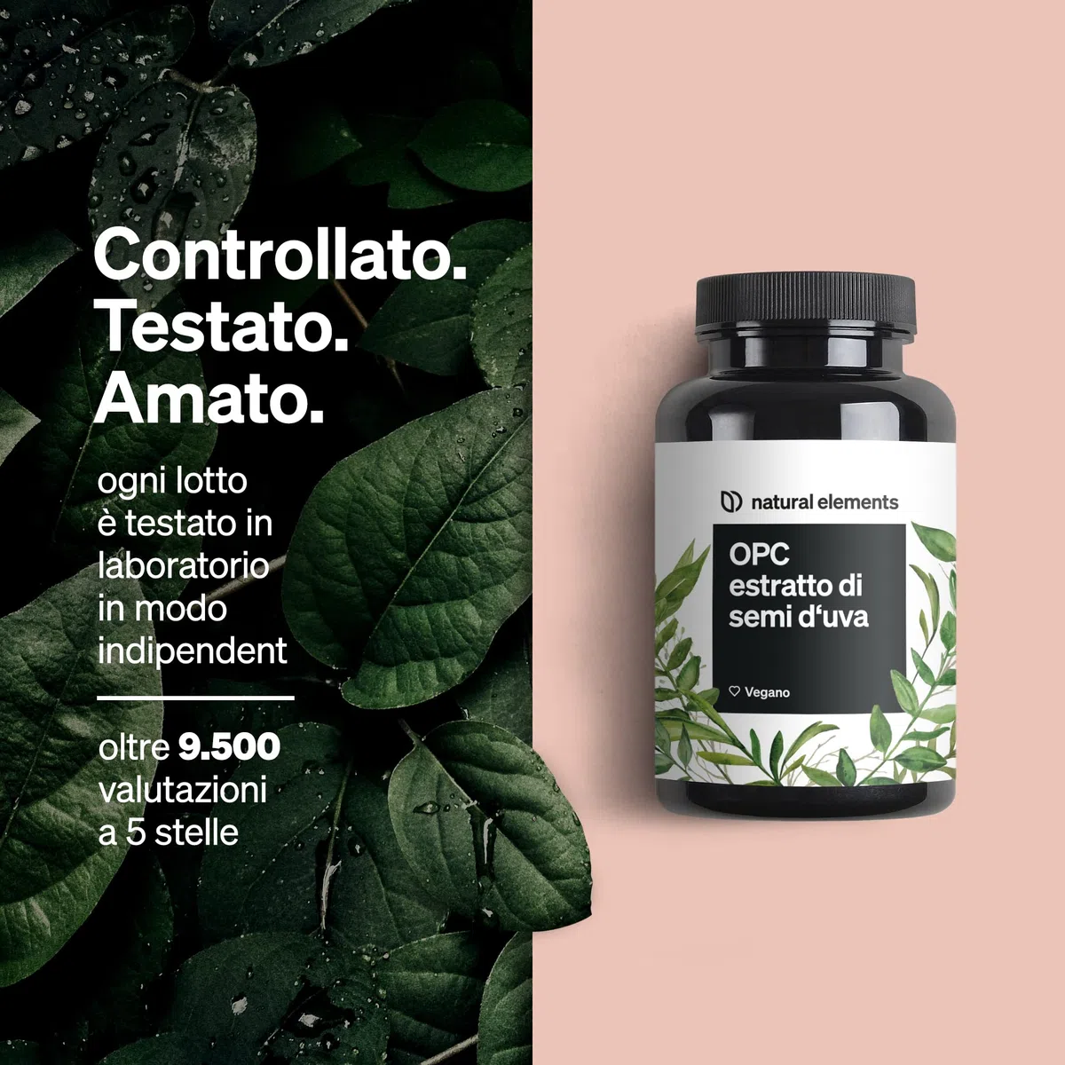 Integratore OPC – Estratto di semi d’uva OPC – 240 capsule per 8 mesi – natural elements – OPC testato in laboratorio da uva europea
