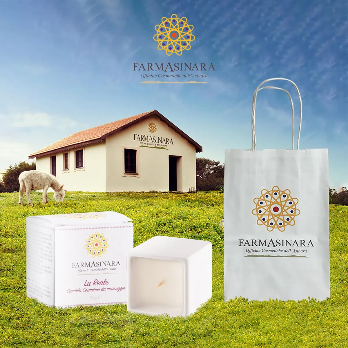 Candela Da Massaggio Per Tutto Il Corpo Con Elicriso, Rosmarino E Lavandula Olio Per Massaggi Professionali candela massaggi Realizzata Nei Laboratori Dell’Asinara.