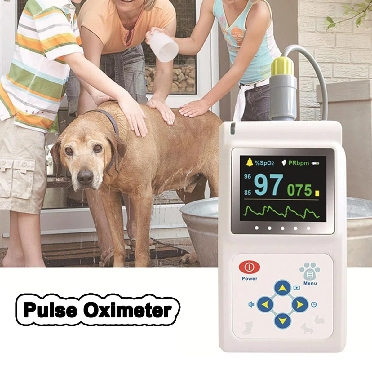 Pulsossimetro Portatile Per Uso Veterinario, Misurazione Della Saturazione Di Ossigeno E Della Frequenza Cardiaca Dell'animale Domestico, Con Sonda E Cavo USB, Sicuro E Non Invasivo, Per Cani, Gatti