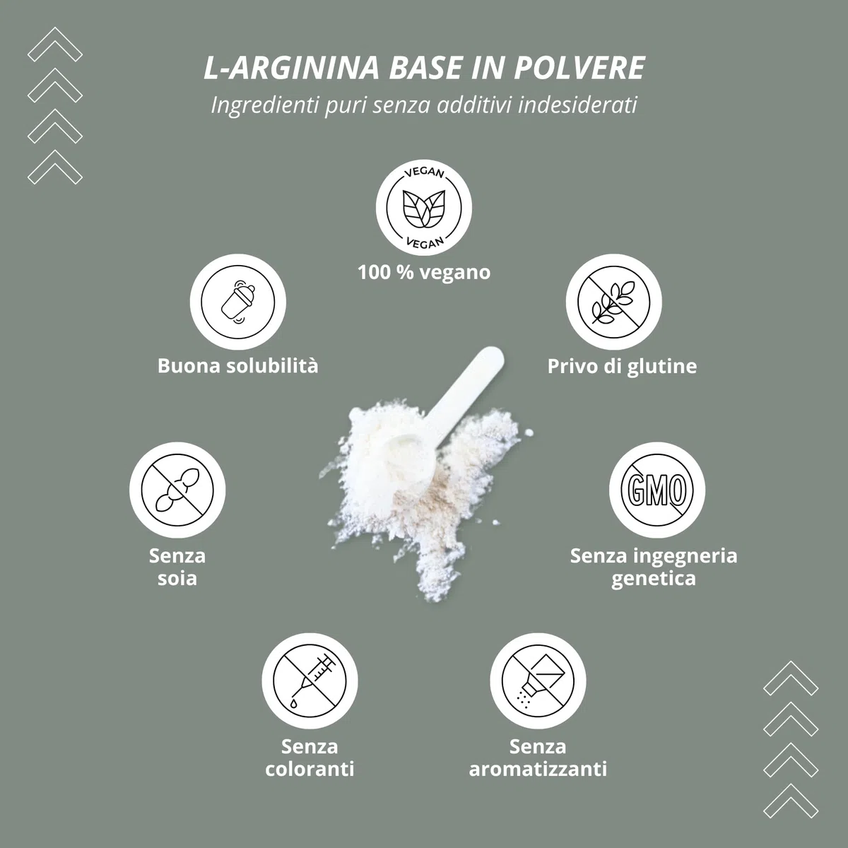 Nutri + L-Arginina Polvere Base 500g - massimo Dosaggio - vegetale da Fermentazione - pura Arginina - vegan - neutrale - senza Additivi - Qualità premium