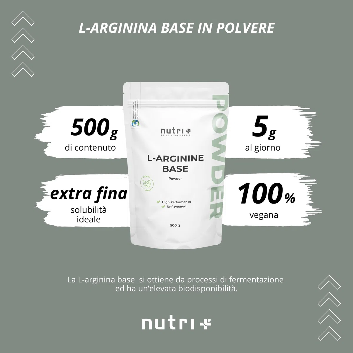Nutri + L-Arginina Polvere Base 500g - massimo Dosaggio - vegetale da Fermentazione - pura Arginina - vegan - neutrale - senza Additivi - Qualità premium