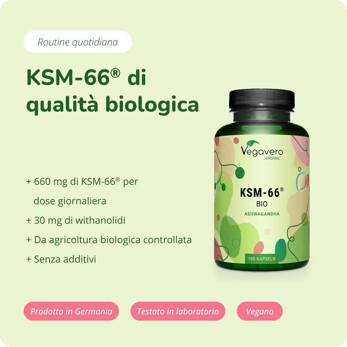 Ashwagandha KSM-66 Pura BIO | 600 mg per dose giornaliera | Alto Dosaggio di Withania Somnifera con 5% di Withanolidi | 180 capsule: 3 Mesi | Vegan e Senza Additivi | Vegavero