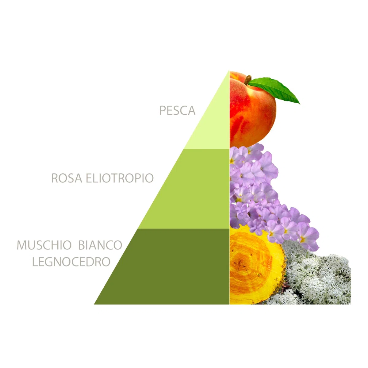 HOROMIA Profumo per Bucato Musica del Sole 500ml - Profuma Bucato per Lavatrice e Asciugatrice