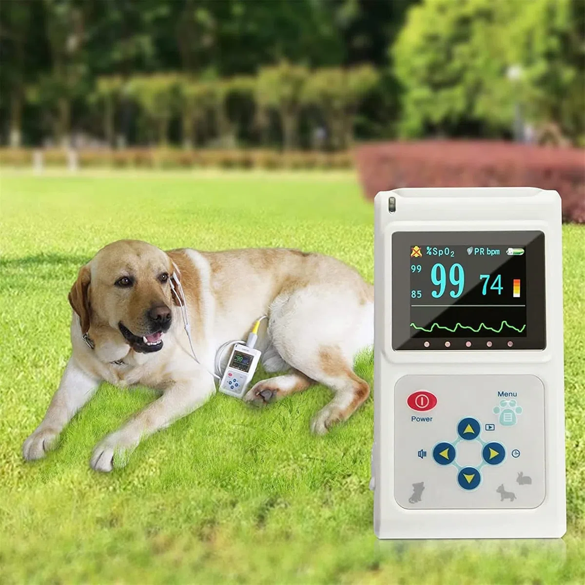 Pulsossimetro Portatile Per Uso Veterinario, Misurazione Della Saturazione Di Ossigeno E Della Frequenza Cardiaca Dell'animale Domestico, Con Sonda E Cavo USB, Sicuro E Non Invasivo, Per Cani, Gatti